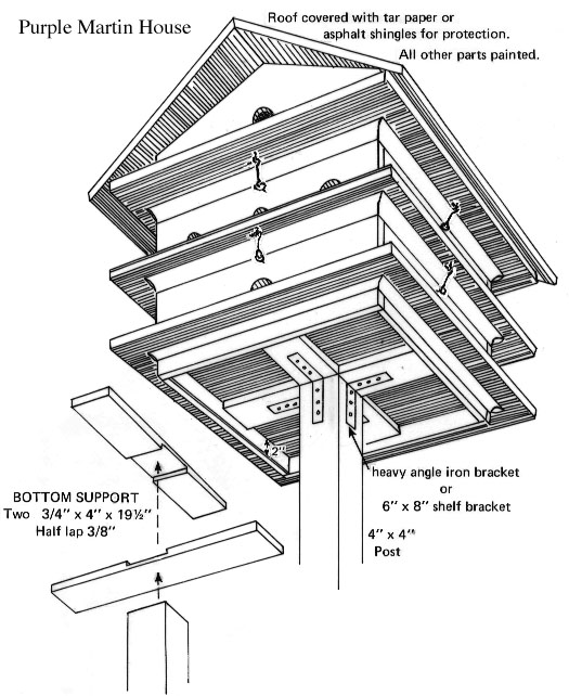 Printable Tree Swallow House Plans Printable World Holiday