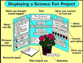 good science project titles examples