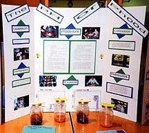 science projects ideas for 7th grade